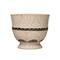 Hello Honey® 7" Debossed Terra Cotta Planter with Pedestal Base
